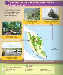 Tumbuhan semula jadi dan hidupan liar hutan hujan tropika. Tumbuh Tumbuhan Semulajadi Di Malaysia 1 Quizizz