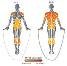 Jump Rope Muscle Engagement Jump Rope Workout Jump Rope Benefits Jump Rope