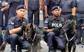 Upload, livestream, and create your own videos, all in hd. Tugu Peringatan Untuk Anjing Tempur Unit K9 Pdrm Free Malaysia Today Fmt