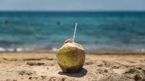 Tapi orang yang ada gastrik tak boleh minum. Rajin Konsumsi Air Kelapa Bisa Bikin Diabetes Ini Faktanya Herstory