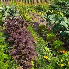 Maybe you would like to learn more about one of these? Tips For Amending Problem Soils The Home Depot