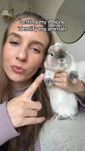 Was it the same animal you had in your head? #bunnies #rabbits #hollandlop  #netherlanddwarf #newiphonefeature #greenscreen