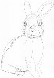 Hase zeichnen spruch hase spruch zeichnen. Kaninchen Zeichnen