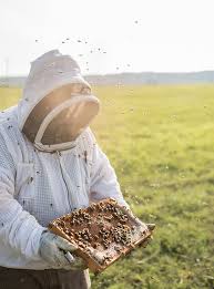 We did not find results for: All The Buzz Arkansas Beekeepers Keep Hope Alive Ay Magazine
