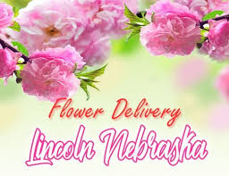 Shop our cheap flower delivery for inexpensive & affordable flowers, beautiful plants and if you're on a budget, we offer cheap flowers for delivery that has the same high quality without breaking the bank. The 6 Best Options For Flower Delivery In Appleton Wisconsin 2021