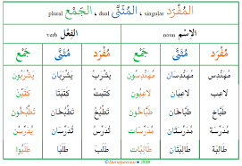 Forms Of Nominal And Verbal Plurals In Arabic Arabic
