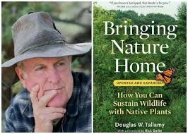 what i learned about pollinators and other beneficial insects in 2018