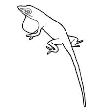Check spelling or type a new query. Top 10 Free Printable Lizard Coloring Pages Online