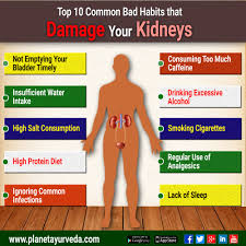 Top 10 Common Bad Habits That Damage You Kidneys Kidney Disease Symptoms Kidney Disease Diet Chronic Kidney Disease Diet