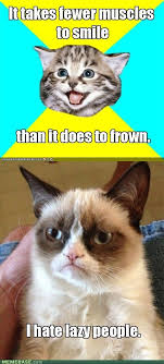 Get Some Exercise Funny Grumpy Cat Memes Grumpy Cat Humor Cat Quotes Funny