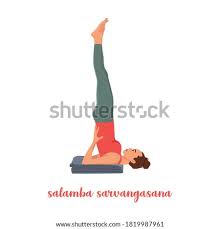 Your shins should be vertical and your lower back should be flat. Shutterstock Puzzlepix