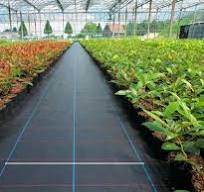 Ground Cover Manufacurer | Supplier - SUGRAND