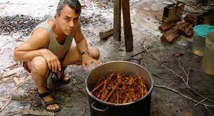 Ayahuasca Plant Spirit Medicine Medicine Hunter