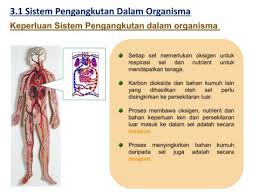 Bab 3 Pengangkutan Kssm F3 2020 Pages 1 39 Text Version Anyflip