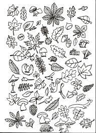 cherche et trouve suite la maternelle de camille coloriage automne feuille fleurs pour adultes