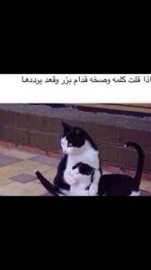 funny school memes funny memes arabic funny