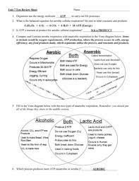 Aerobic Vs Anaerobic Respiration Venn Diagram Cellular Respiration Venn Diagram Photosynthesis And Cellular Respiration