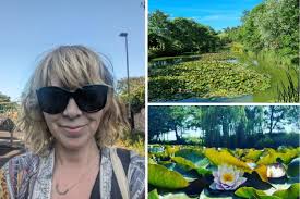 Wild swimming in York at Pool Bridge Farm, Wheldrake