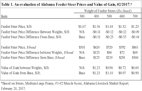 At What Weight Should I Sell My Feeder Calves Panhandle