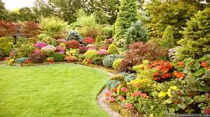 How to choose bushes for landscaping. The Best Shrubs For Nashville Summers The Parke Company