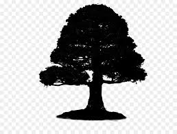 Tagged under woody plant, sageretia, branch, black and white, leaf. Family Tree Silhouette Png Download 1024 768 Free Transparent Bonsai Png Download Cleanpng Kisspng