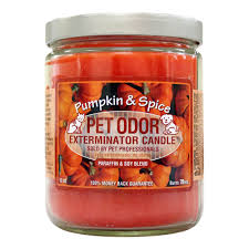 Check spelling or type a new query. Pet Odor Exterminator Candle Pumpkin Spice