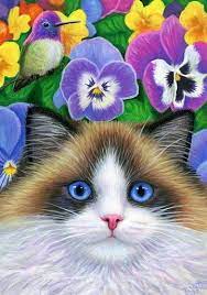 Aceo Original Ragdoll Cat Hummingbird Pansy Flowers Garden Painting Art Cat Painting Garden Painting Art Cat Art