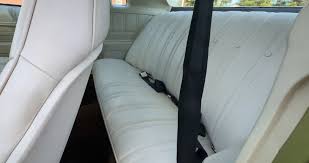 Image result for Garganey Teal 1973 GM