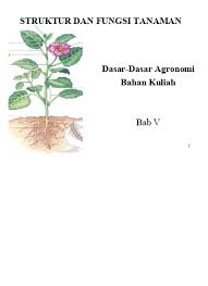 Bagian bunga dan penjelasannya sumber: Top Pdf Struktur Bunga Bagian Bagian Bunga Dan Modifikasinya 123dok Com