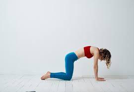 Begin on your hands and knees, with your knees under your hips and your wrists under your shoulders. 15 Yoga Poses To Relieve Tight Shoulder Neck Muscles Yoga Practice