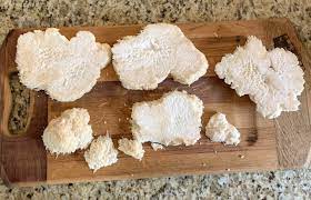 How to cook lion's mane mushrooms. Blackened Lion S Mane Mushroom Steaks Trimazing