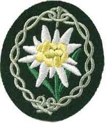 The Edelweiss Flower Tactical Emblem Of The German 1st Mountain Division Of Gebirgsjager Pin By Paol Edelweiss Flower Thread Painting Hand Embroidery Pattern