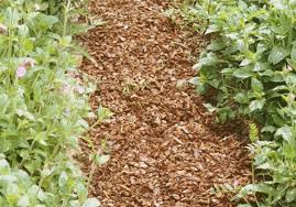 Comment Creer Une Allee En Copeaux De Bois En 2020 Copeaux De Bois Jardin Copeaux De Bois Ecorce De Pin