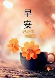 Many mainland chinese would just say 早 (zǎo) which means morning, or they would say 早上好 (zǎoshang hǎo) which means good morning, or literally morning good. Pin By Tsai On æ—©å®‰èŠ± Good Morning Wishes Good Morning Thursday Morning Greeting