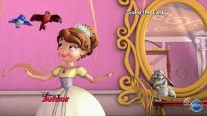 Sofia The First Ponytail Baileywhoops Princess Ballet