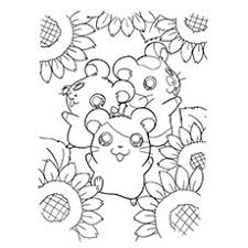 Kapok is a majestic tree. 15 Beautiful Sunflower Coloring Pages For Your Little Girl