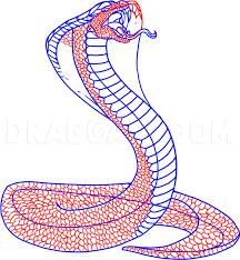 King cobra snake coloring pages. How To Draw A Snake King Cobra Coloring Page Trace Drawing