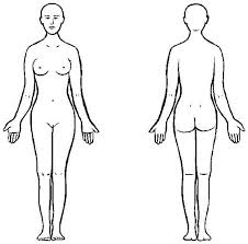 Blank human leg diagram schematics online. Medical Body Outline Front And Back Free Download