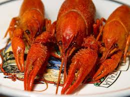Making delicious seafood dishes during lent can be a snap with these tasty, easy to make fish recipes that the whole family can enjoy. Fish Recipes Archives Diabetes Cure Diet