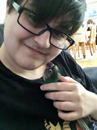 Silly strategy names for trading cards