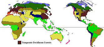 Deciduous Forest Location Map Temperate Deciduous Forest Locations
