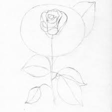 Pinion ciupi ușurare un peisaj cu trandafiri in creion : Trandafir By Oana