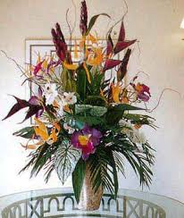 Many have difficulty with cold temperatures but they are strikingly beautiful. Silk Floral Arrangements Artificial Tropical Flowering Plants