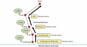 Samacheer Kalvi 12th Computer Applications Solutions Chapter 12 Dns Domain Name System Samacheer Kalvi