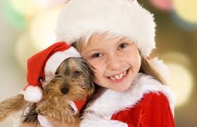 Two young girls attempt to bring christmas joy to a cranky old man so santa will bring them puppies for their good deed. A Puppy For Christmas Nashville Fun And Things To Do For Parents And Kids