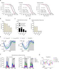 In the current market session, immunic inc. Restoration Of Energy Homeostasis By Sirt6 Extends Healthy Lifespan Nature Communications