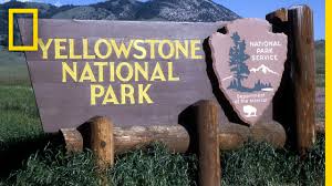 Yellowstone, with over 2,000 campsites, making it a perfect destination for families of all ages. A Brief History Of Yellowstone National Park National Geographic Youtube
