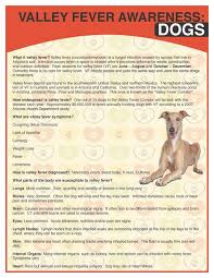 Prototypes Provides Free Valley Fever Awareness In Dogs Flyers To Rescue Groups And Veterinarians To Request Flyers Valley Fever Animal Articles I Love Dogs