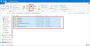 Delete Software Distribution Files