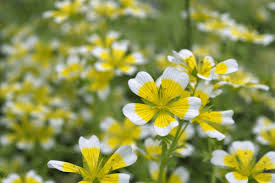 Maybe you would like to learn more about one of these? Nuneaton Bible Students Nuneaton Christadelphians